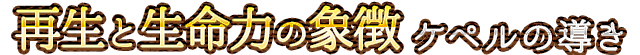 �P�y��